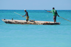 Image for SIT Zanzibar Coastal Ecology and Natural Resource Management