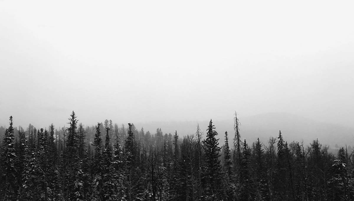black and white landscape photograph