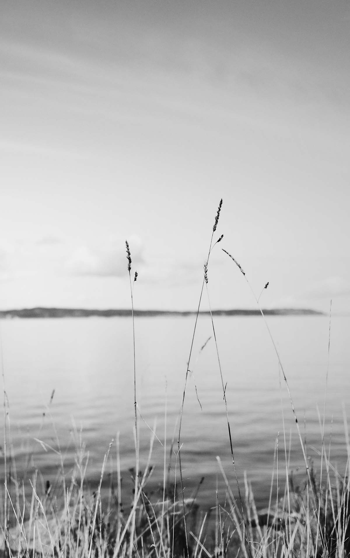 black and white landscape photograph