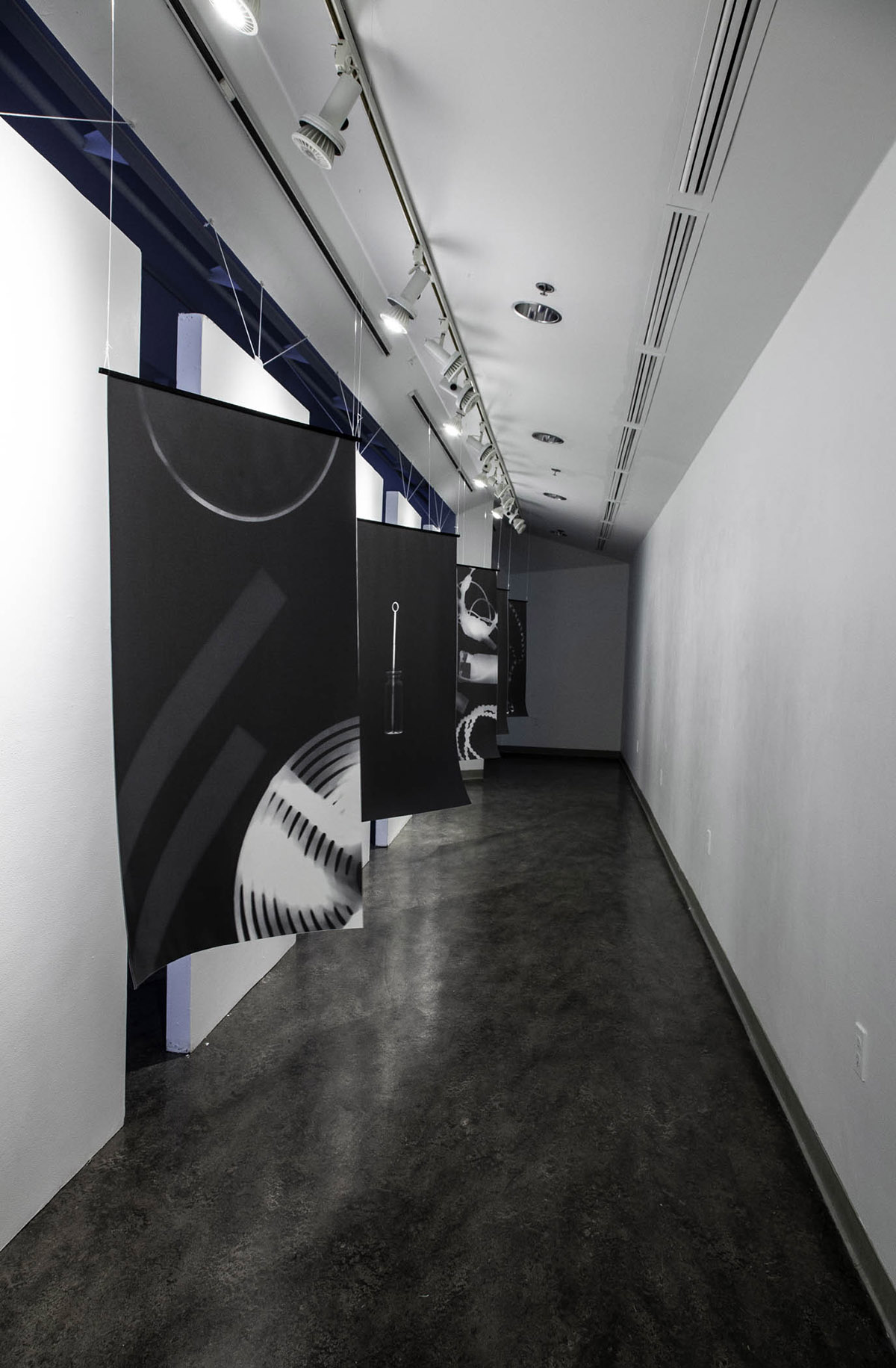 Images of black and white photograms by Dan Paz hanging from the ceiling of an art gallery