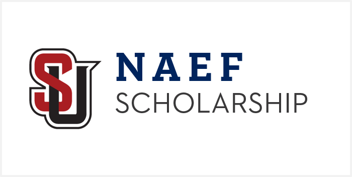 Image that complements Naef Scholarship