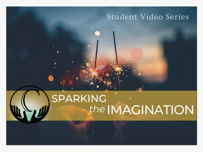 Image for Sparking the Imagination