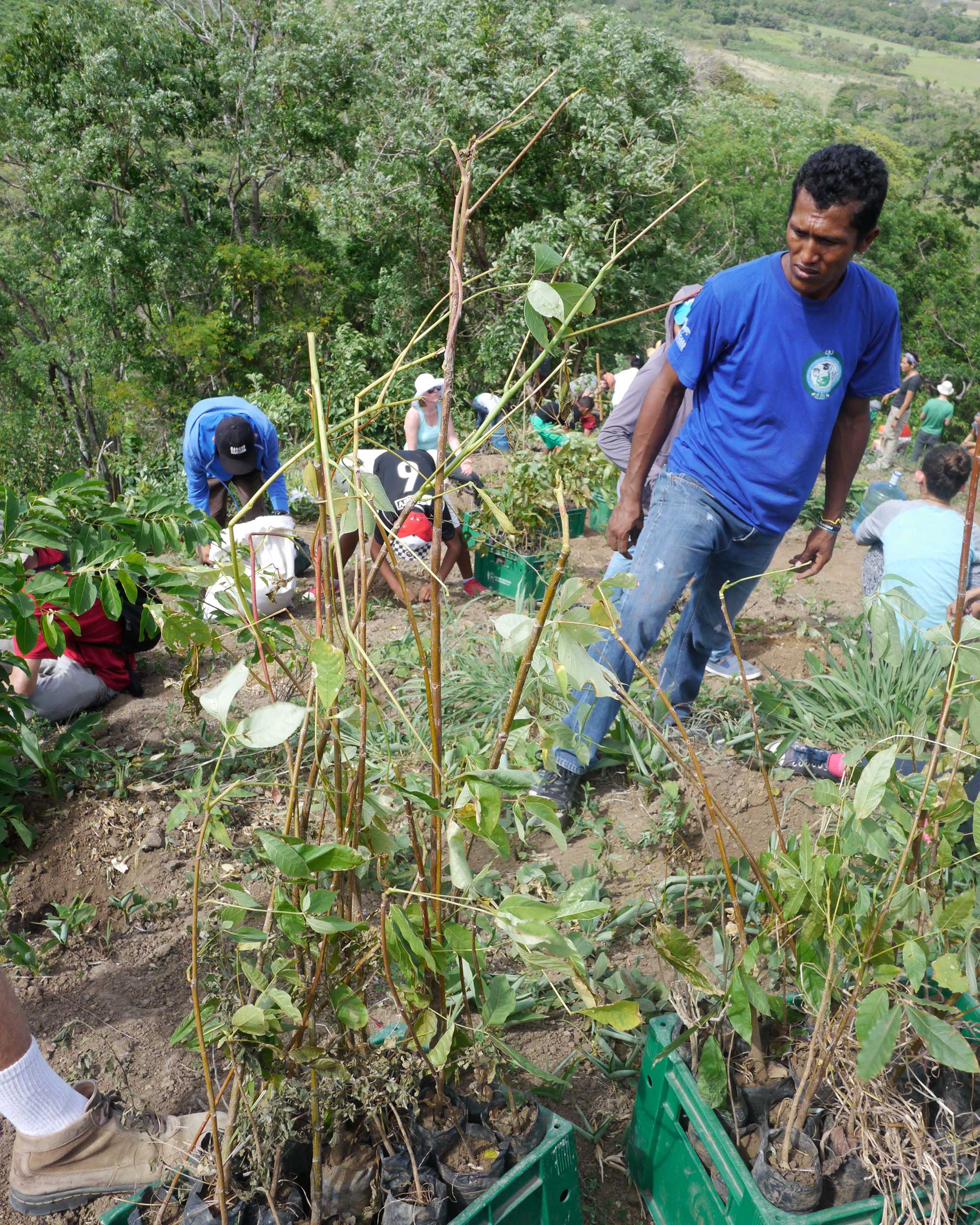 Seattle University and Nicaraguan Students participate in reforesting project