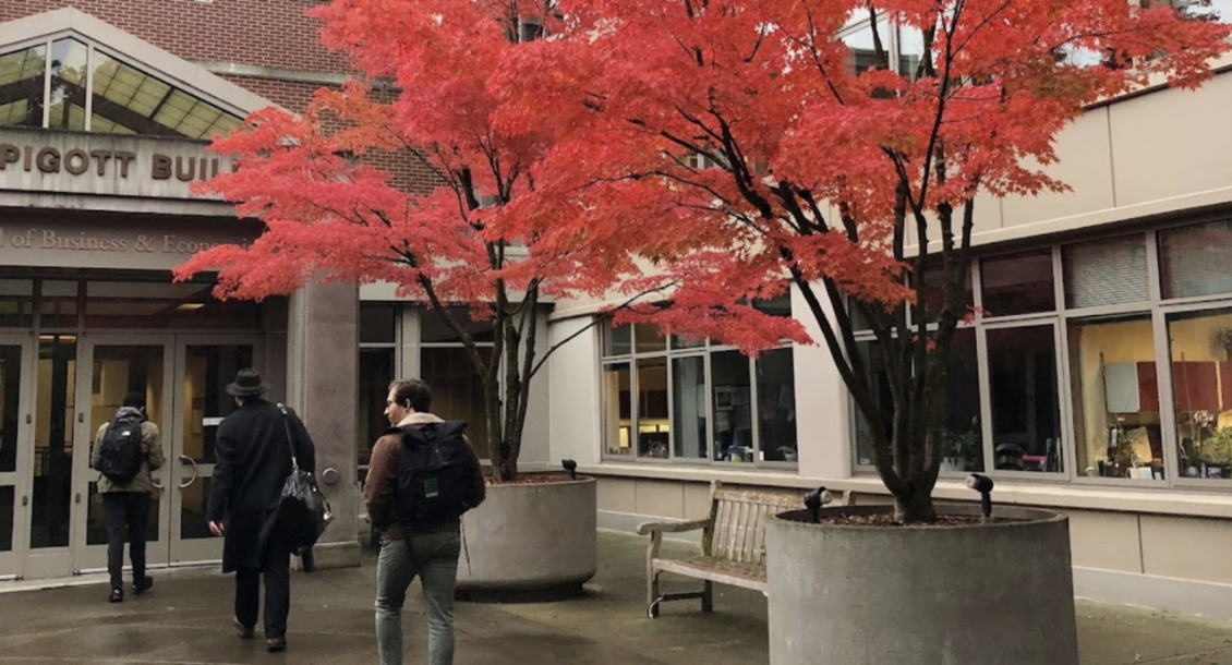 Fall foliage in front of the Pigott building