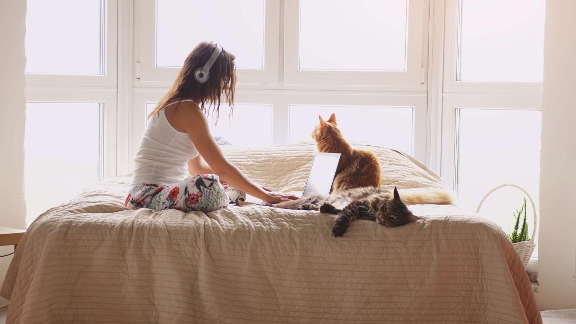 Girl studying at home