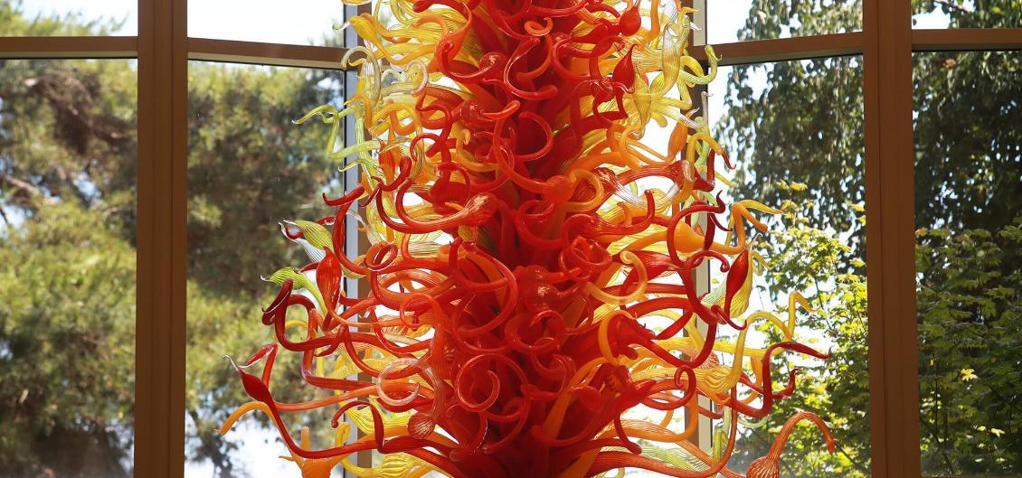 Chihuly sculpture at Albers