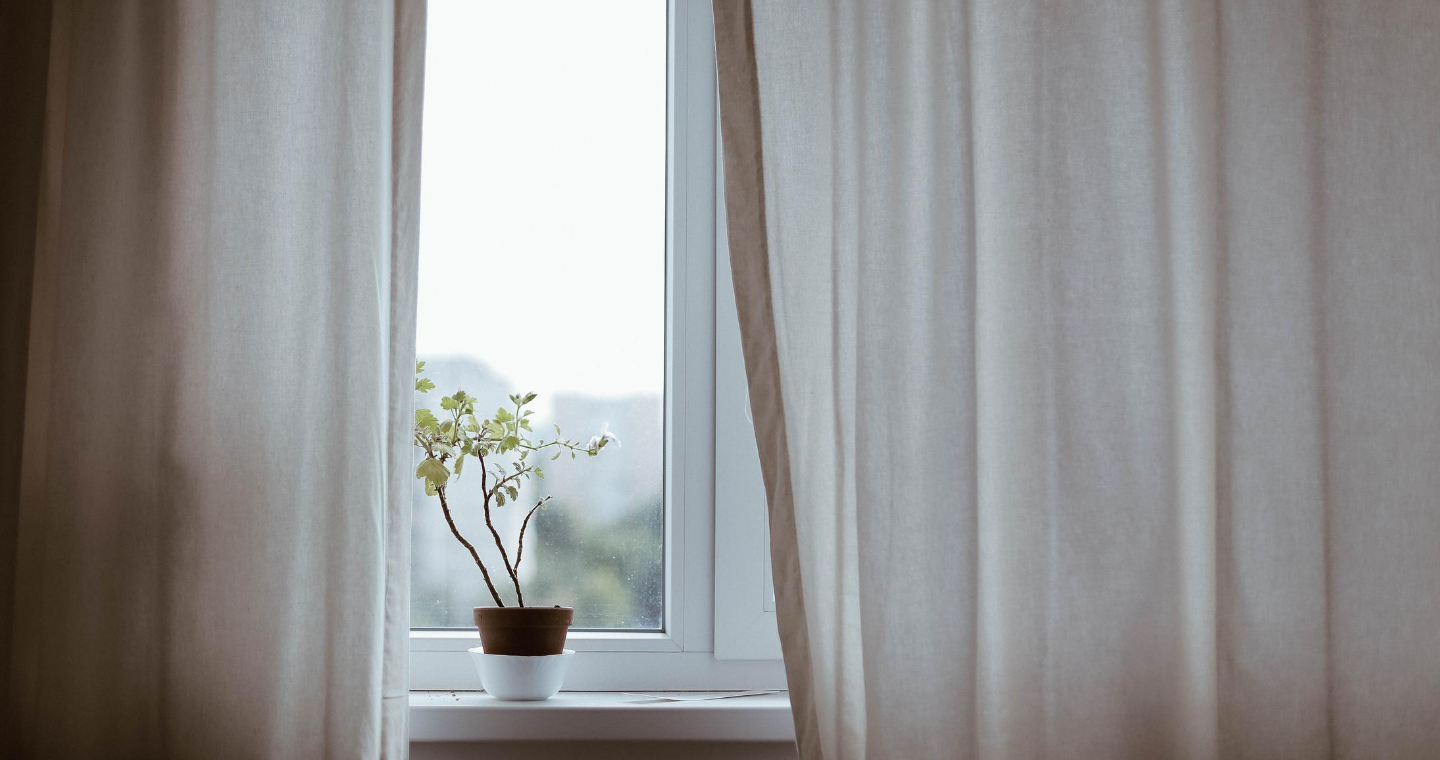 An orchid sits on a window sill, framed by billowing white curtains