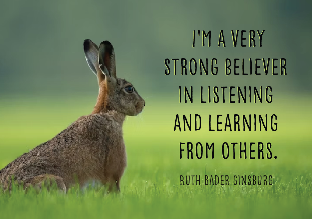 I'm a very strong believer in listening and learning from others. Ruth Bader Ginsburg
