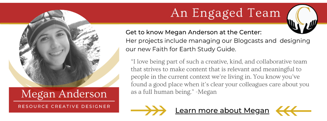 Graphic of Megan Anderson with Quote for the Center for EIE