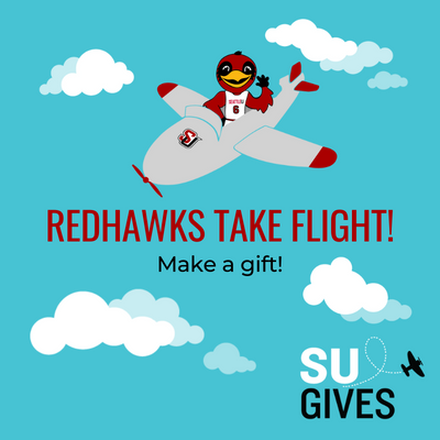 Mascot Rudy the Redhawk in a plane with text