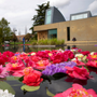 Flowers in the reflecting pool in front of chapel