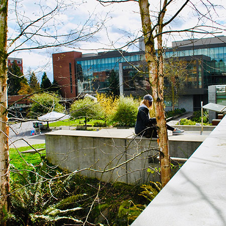 Photograph facing the student center from the upper deck of the Lemieux library on the SU campus