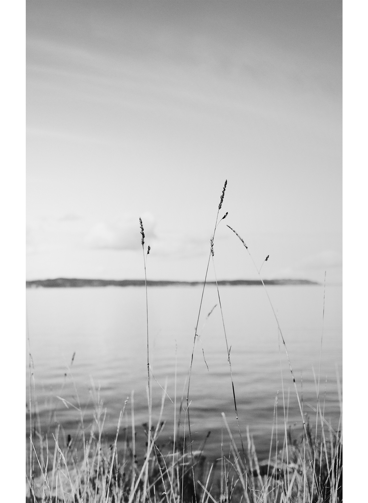 black and white photography of shoreline with water and horizon
