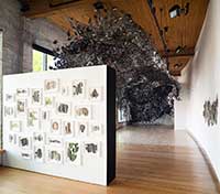 Image of entire exhibition of works on paper and large installation by Markel Uriu at Hedreen Gallery