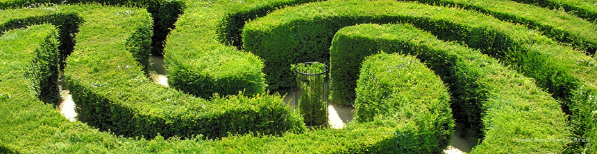 Center of a hedge maze with multiple routes out 