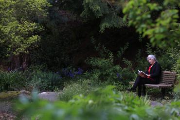 Woman reading a book, sitting on a bench in a green garden