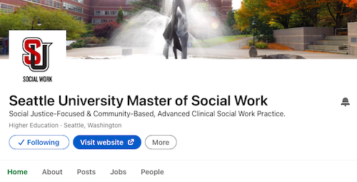 Screenshot of Master of Social Work page on Linkedin