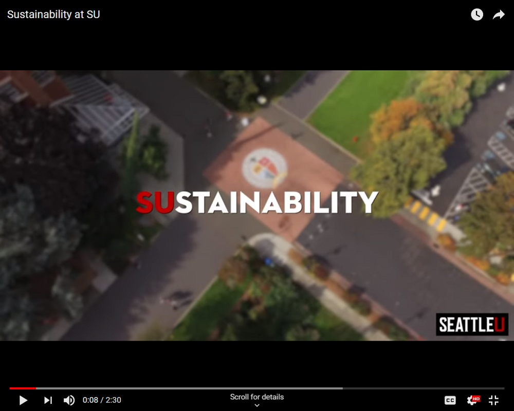 Screen shot from SU Sustainability video