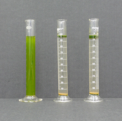 Microalgae Processing Research 1