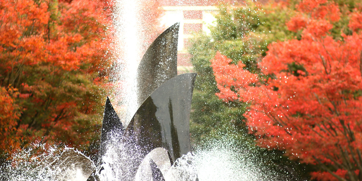 the fountain at the Quad with Fall trees in the background