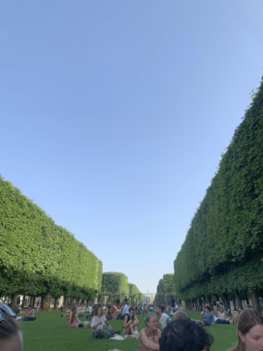 A grassy field with a border of trimmed trees.