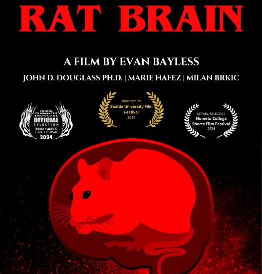 Poster for Rat Brain Film