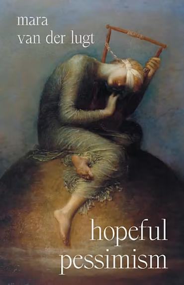 Hopeful Pessimism book cover