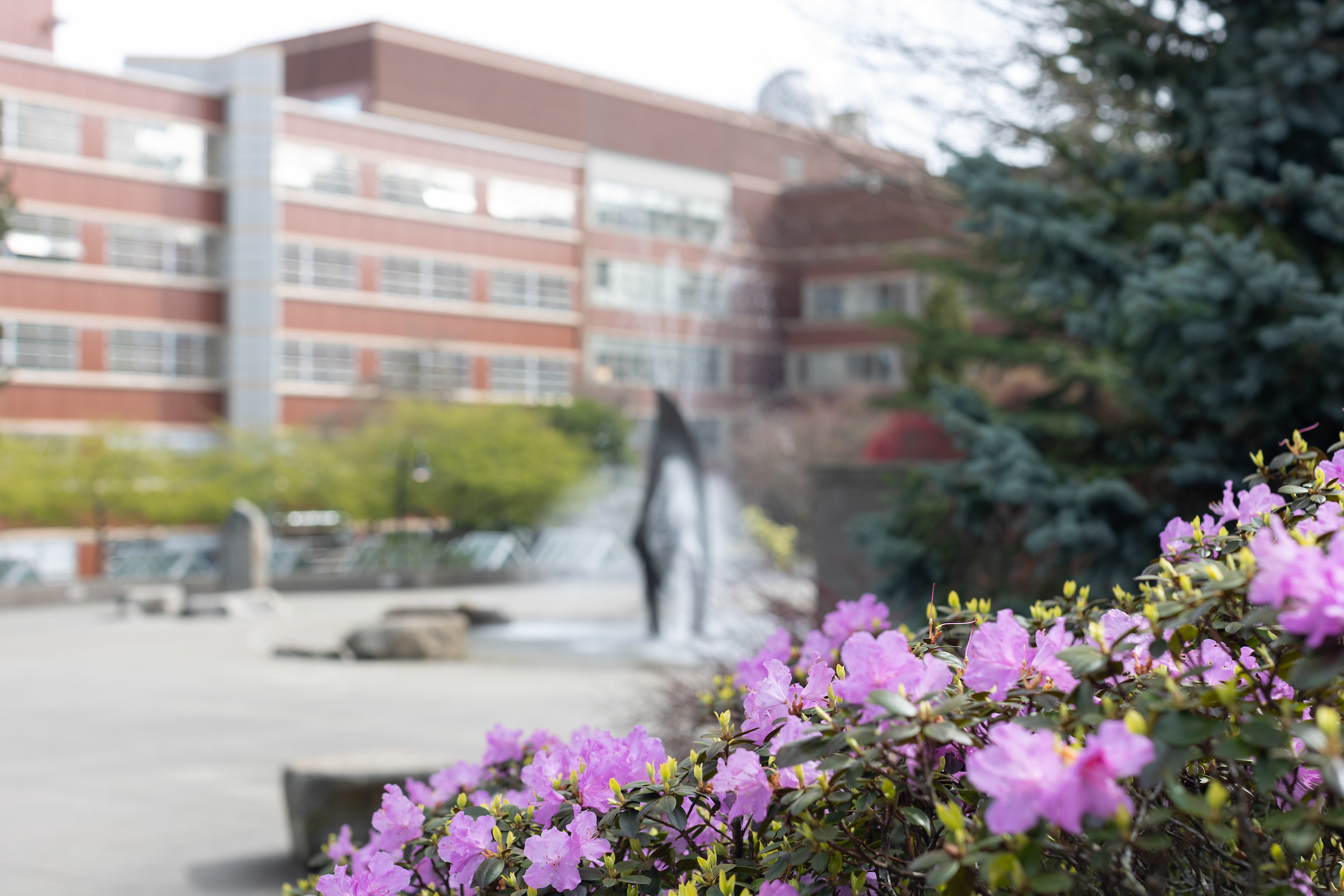 Alumni & Friends | College of Education | Seattle University