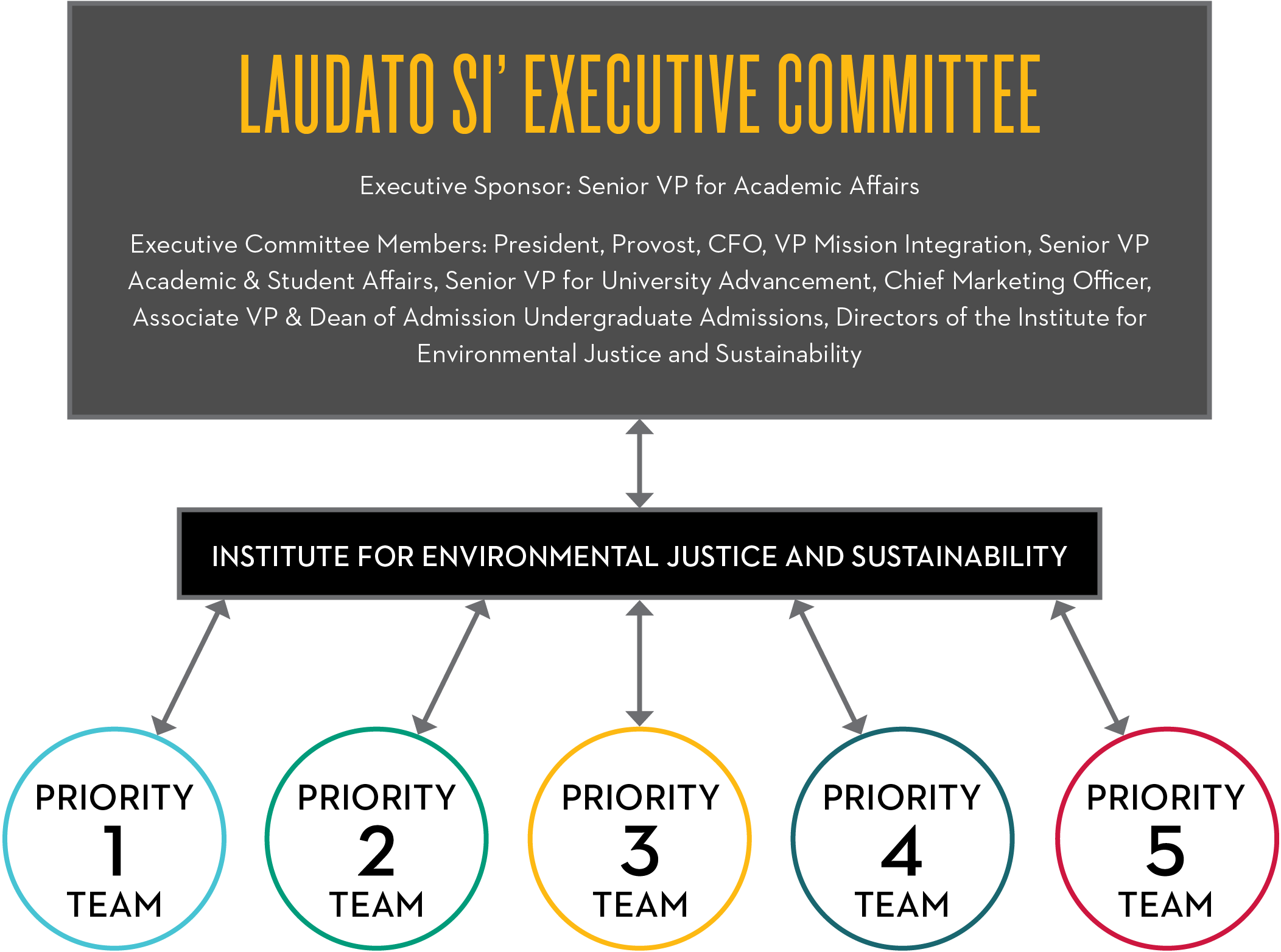 Laudato Si' Executive Commitee: Executive Sponsor: Senior VP for Academic Affairs; Executive Committee Members: President, Provost, CFO, VP Mission Integration, Senior VP  Academic & Student Affairs, Senior VP for University Advancement, Chief Marketing Officer,  Associate VP & Dean of Admission Undergraduate Admissions, Directors of the Institute for  Environmental Justice and Sustainability