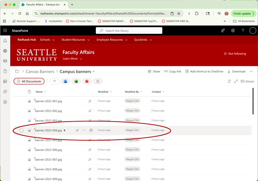 Screenshot of Sharepoint window showing banner image list