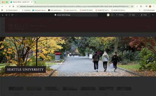 Screenshot of Sharepoint showing image preview window