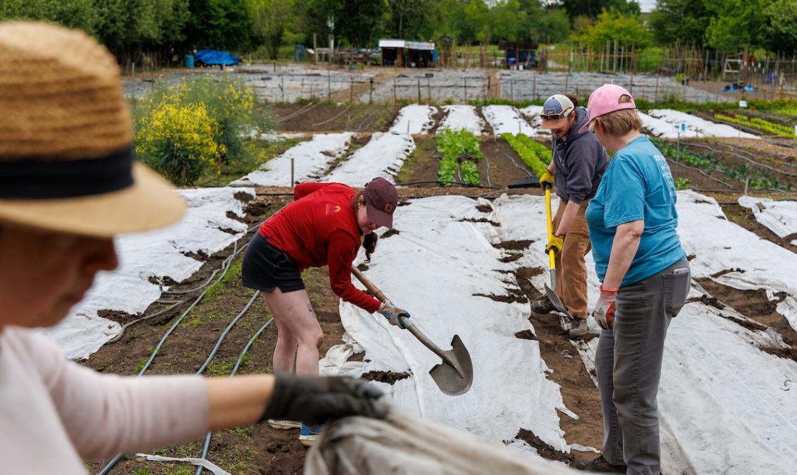 day of service in field