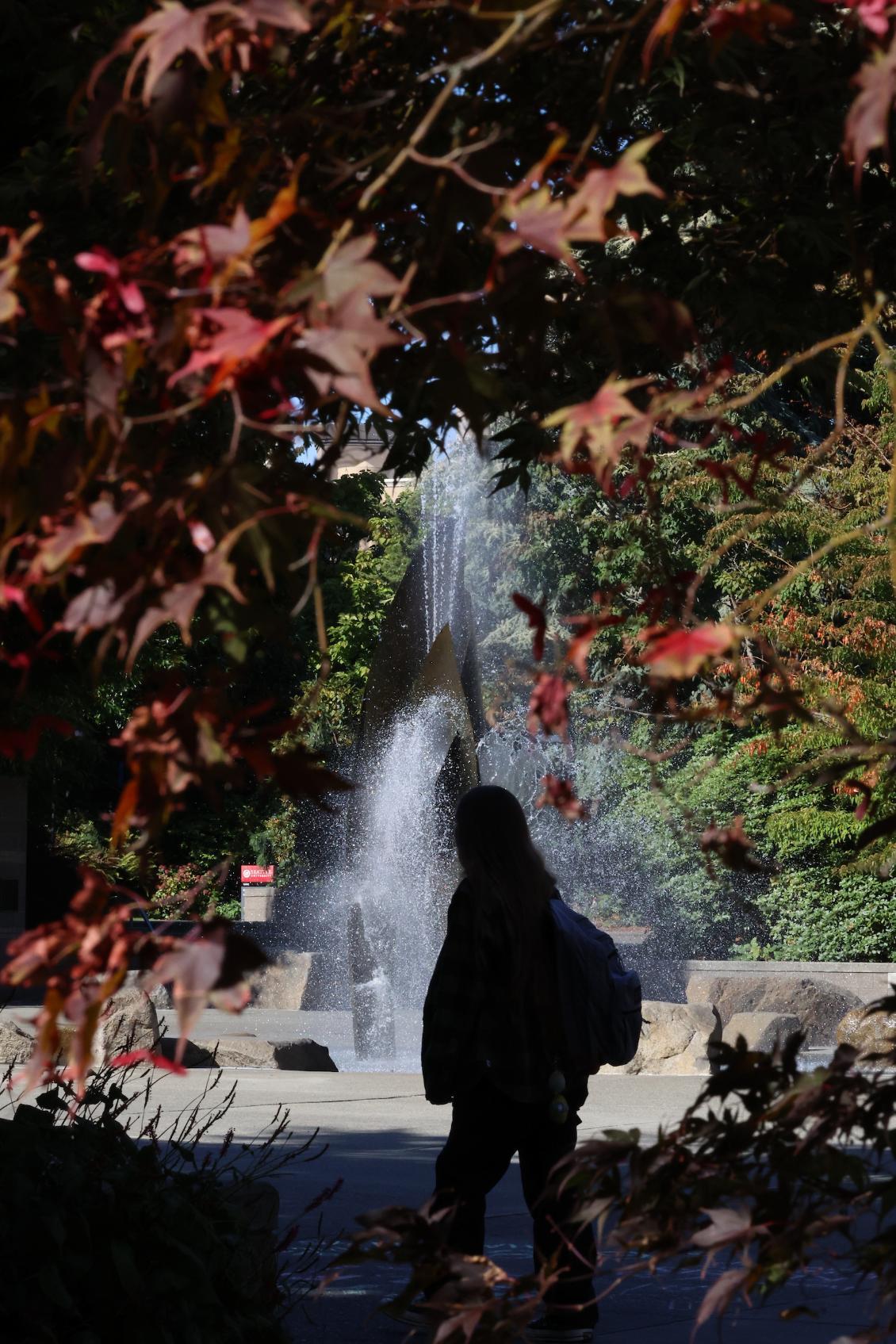 First day closing shot leaves and quad