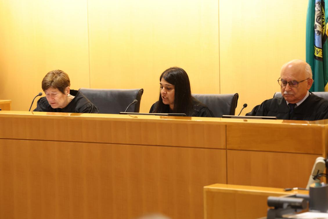 ninth circuit trio judges closeup