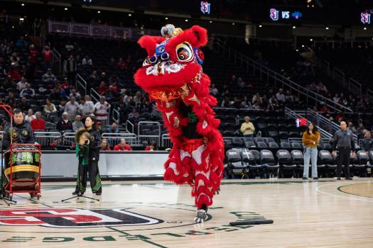 Lion Dance Image