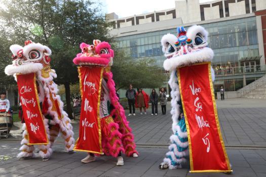 Lion dance image