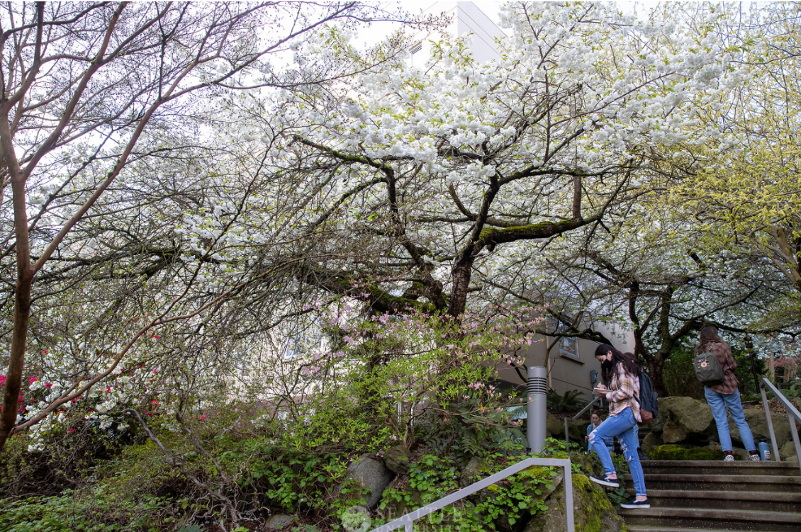 Resources | Office of Diversity and Inclusion | Seattle University
