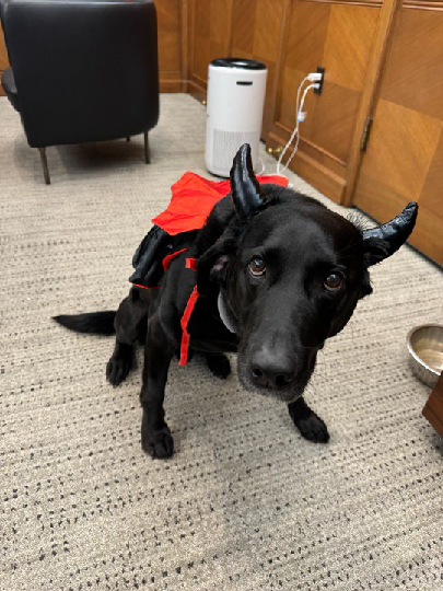 Griffey in a Halloween costume with horns