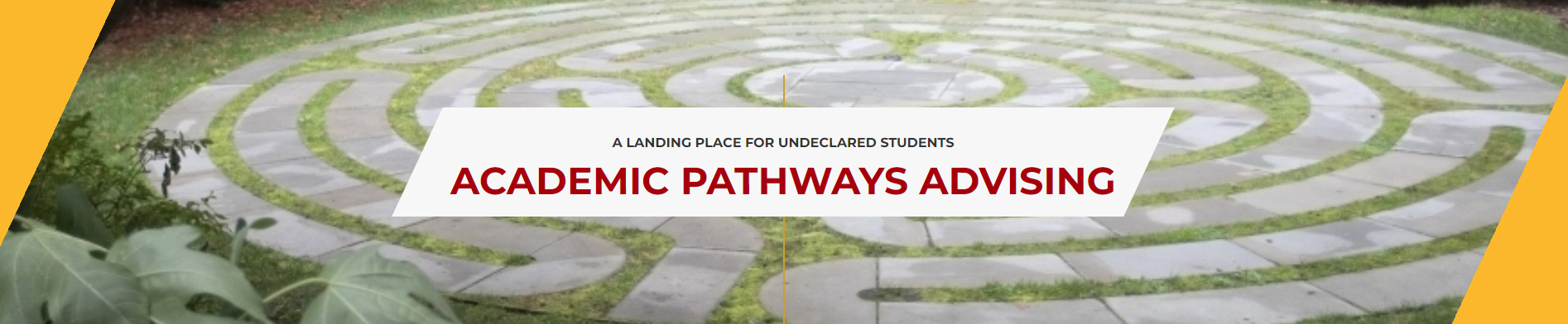 Academic Pathways Advising Logo