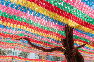 Colorful canopy of lanterns
