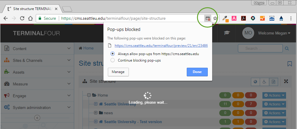 Screenshot of how to disable your pop up blocker in Chrome