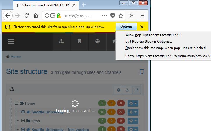 Screen shot of how to disable pop ups in Firefox