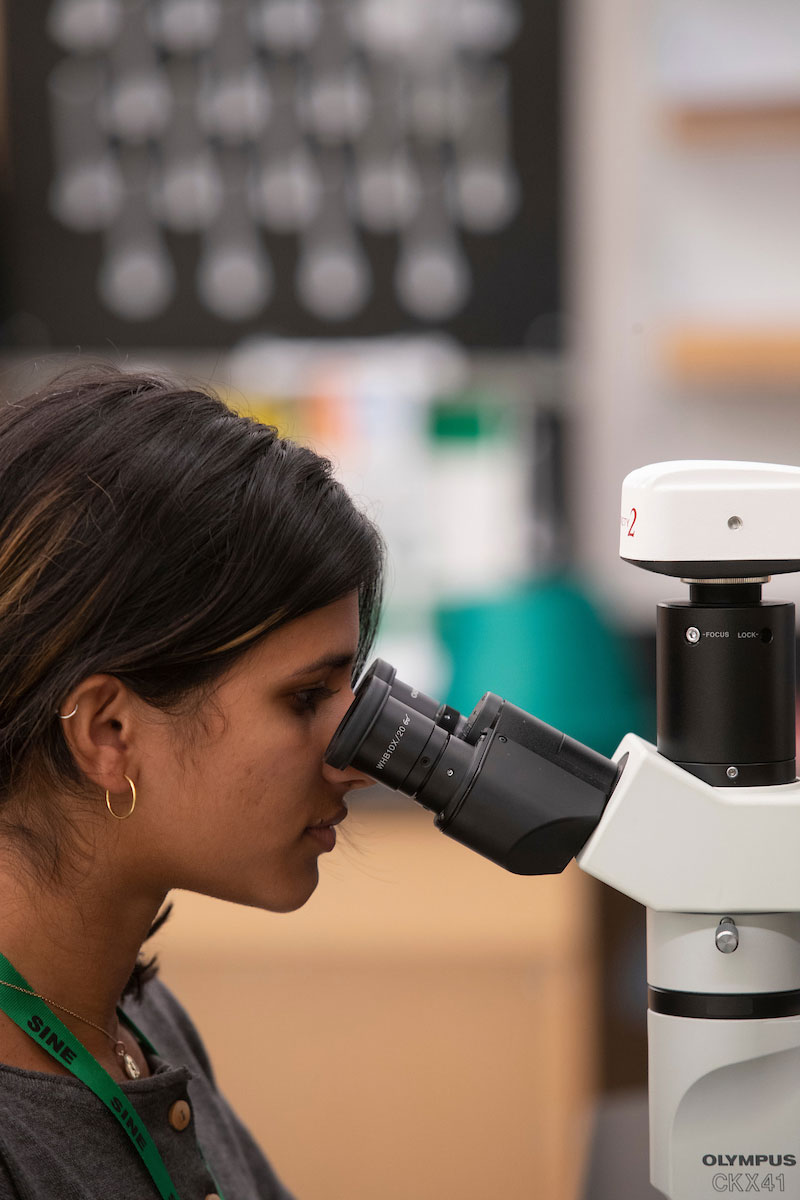 Student Shefali Menezes is pictured in a lab on campus as part of a research fellowship.