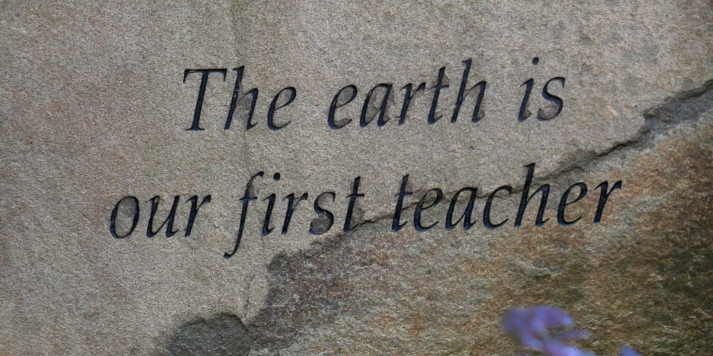 The earth is our first teacher