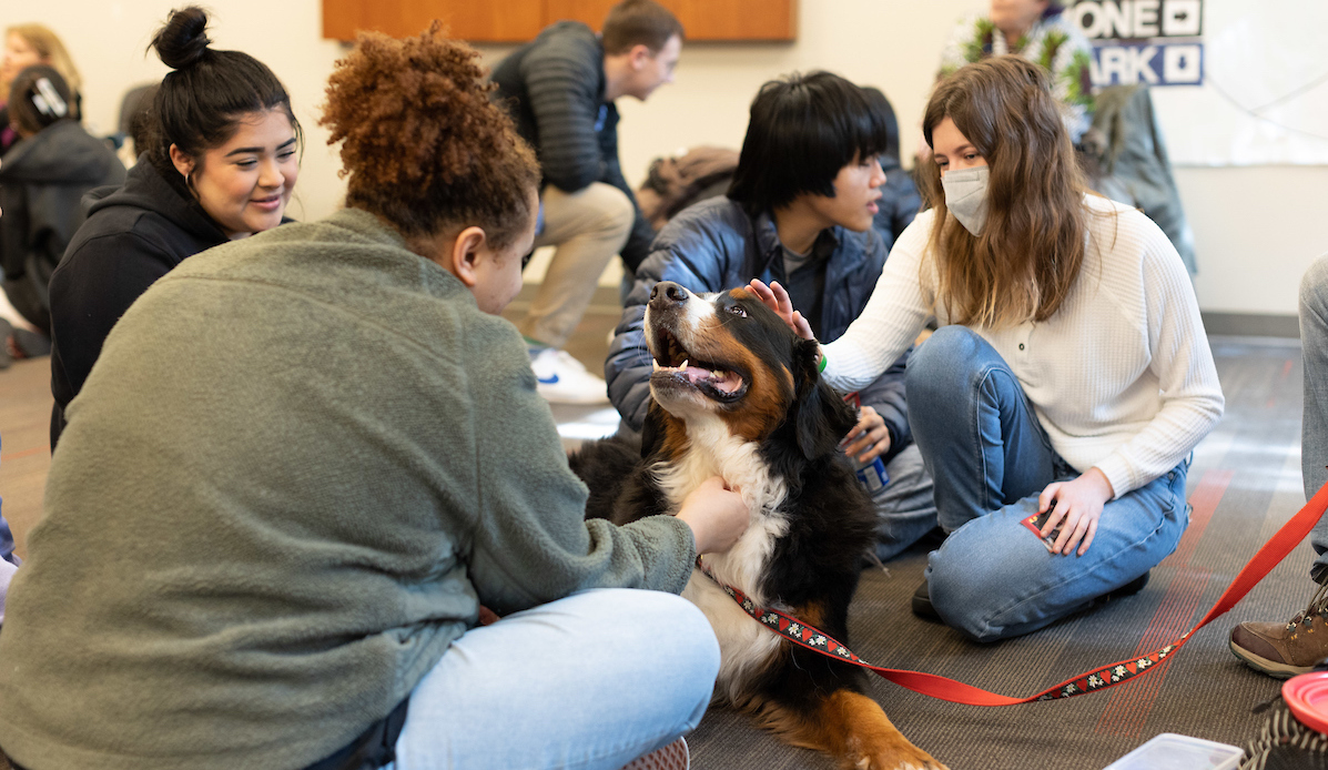 Students pet a dog during De-Stress with Dogs event.