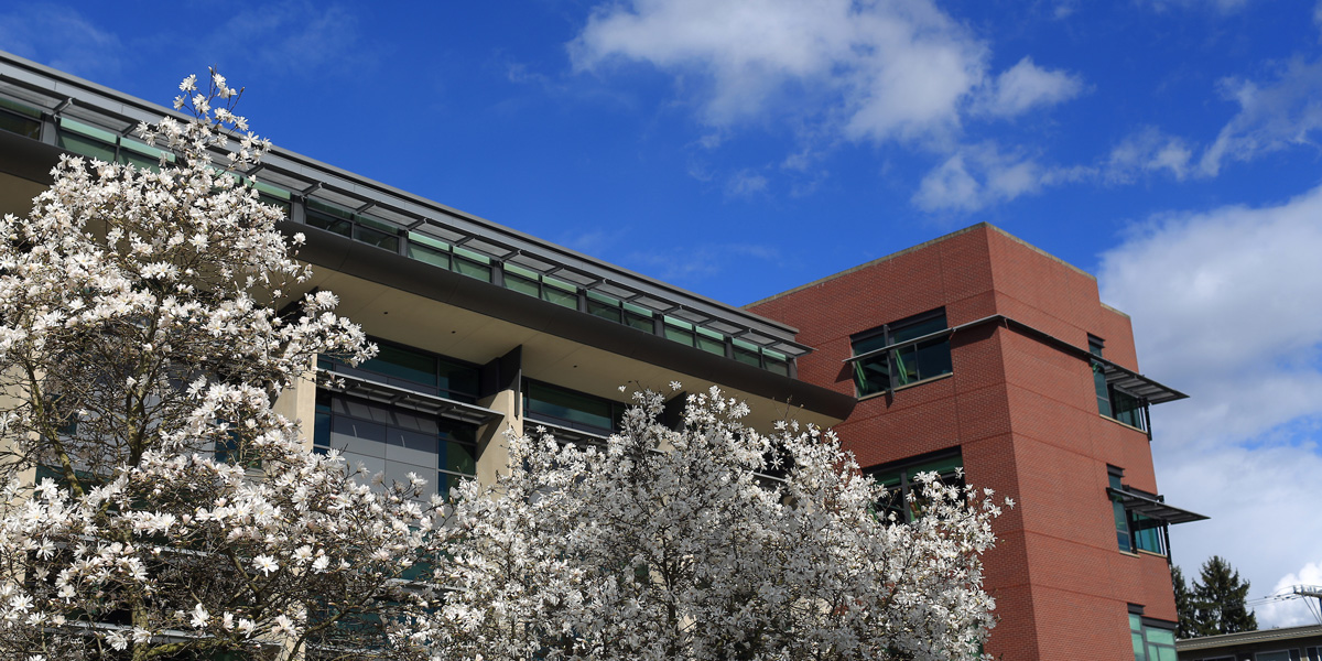 Exterior of Sullivan Law School surrounded by blooming trees in the spring