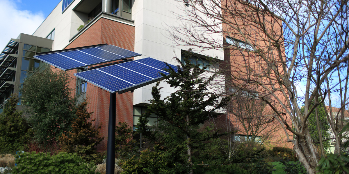 Campus solar panels