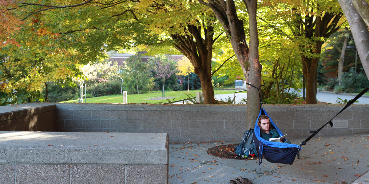 A student reading in a hammock between trees in the Quad