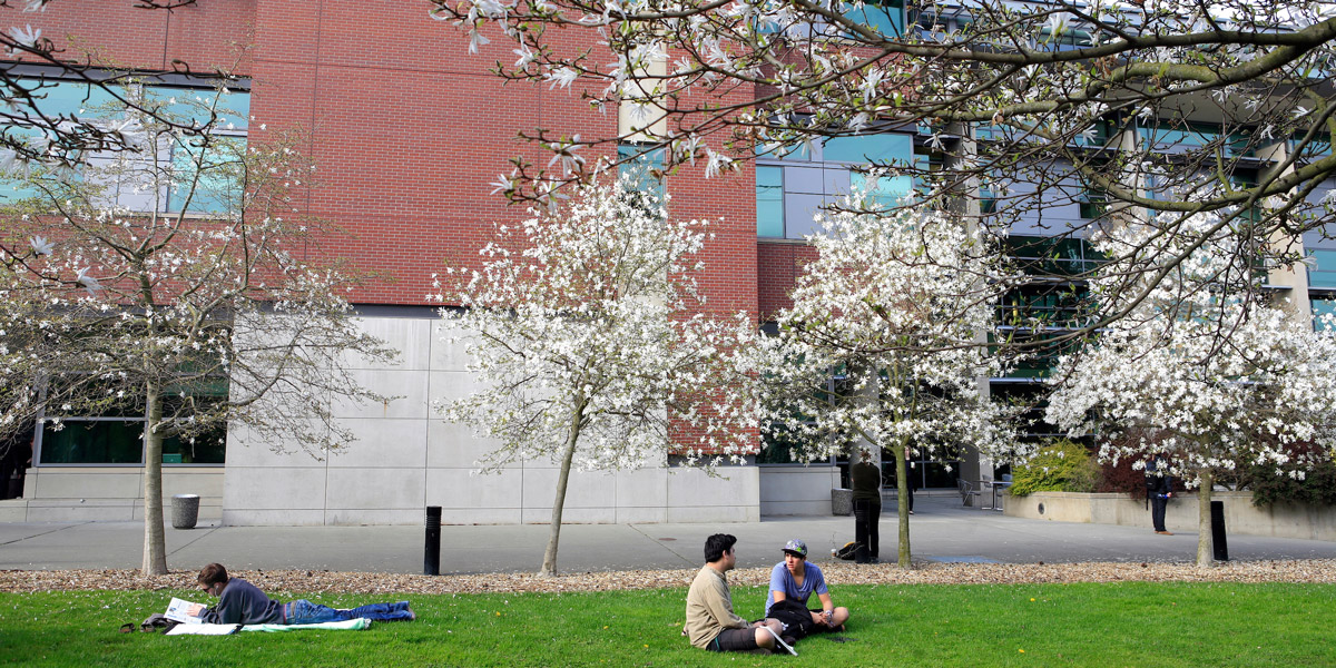 students reading and talking on the grass next to Sullivan Law School