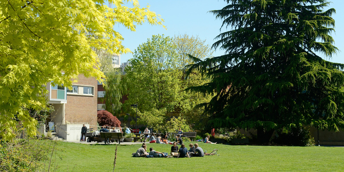 Students sitting in the Union Green park in the spring